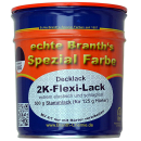 BRANTHs 2K-Flexi-Varnish 500 g de vernis de base et 125 g de durcisseur noir